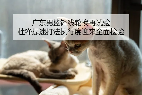 广东男篮锋线轮换再试验 杜锋提速打法执行度迎来全面检验